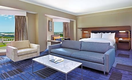 1 King Bed 1 Bedroom Presidential Suite