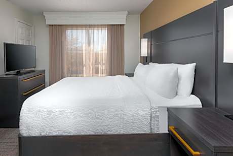 One-Bedroom Queen Suite with Sofa Bed