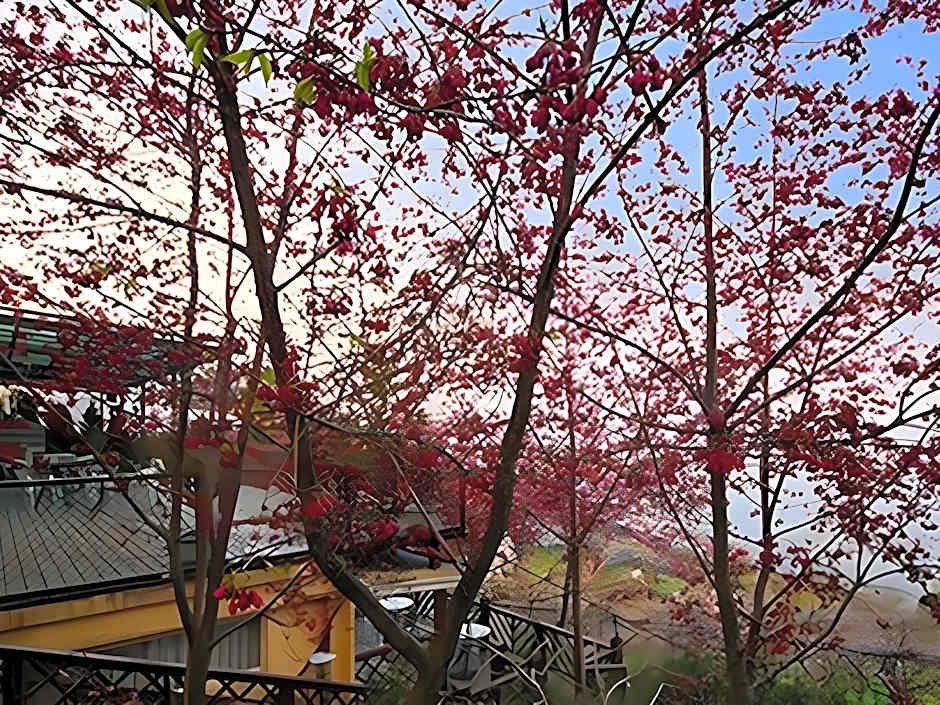 Chingjing New Paradise Bed and Breakfast