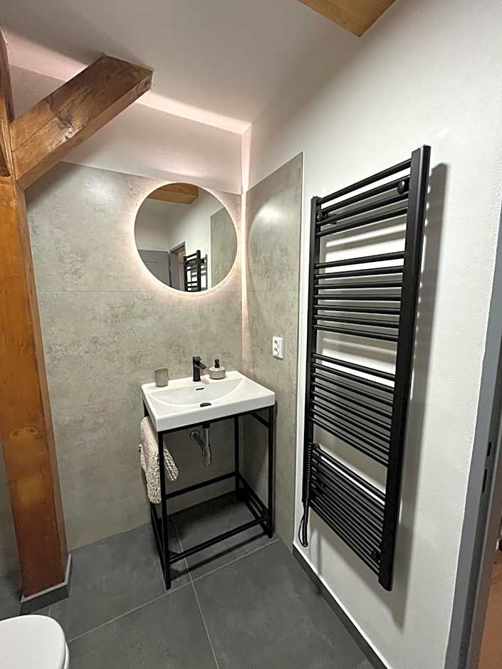 Family Apartments Černice