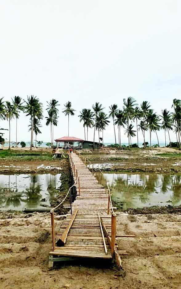 I - Talay Taling Ngam Samui - เขา ป่า นา เล ตลิ่งงาม สมุย
