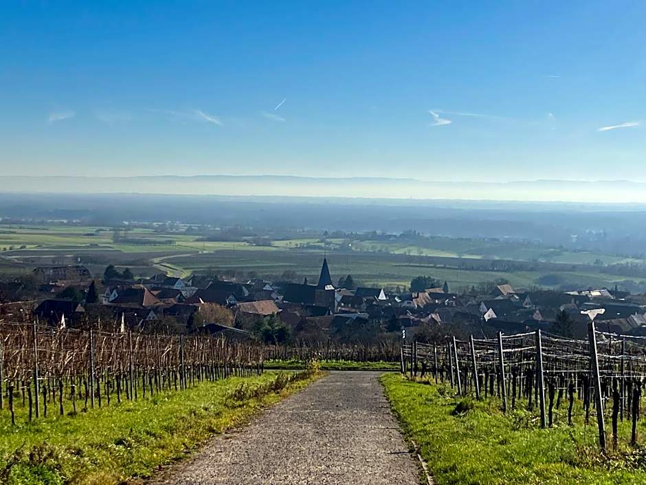 Amelie No 3 Hotel & Appartements