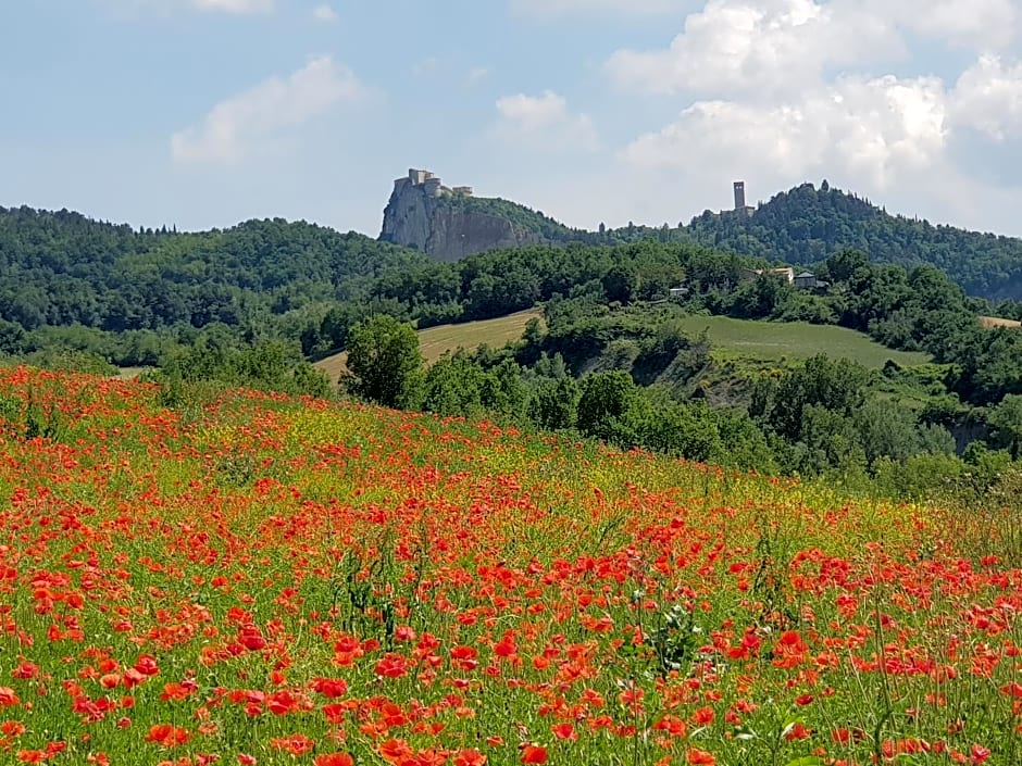 TERRALUNA Country house San Leo - San Marino