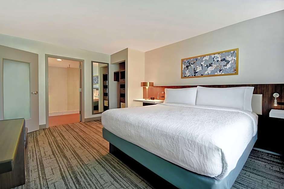 Hilton Garden Inn Houston/Galleria Area