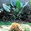 Rahayu Guest House Ubud