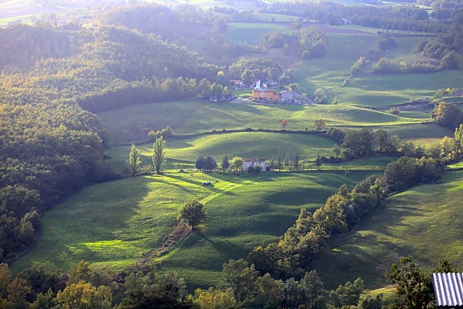 Fattoria Ca' di Fatino