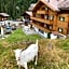 Griesalp Hotels