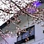 Petit Hotel Shitaka
