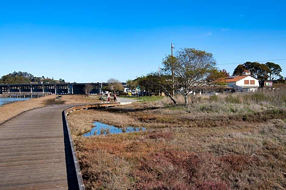 HOLIDAY INN EXPRESS MILL VALLEY SAN FRANCISCO AREA By IHG