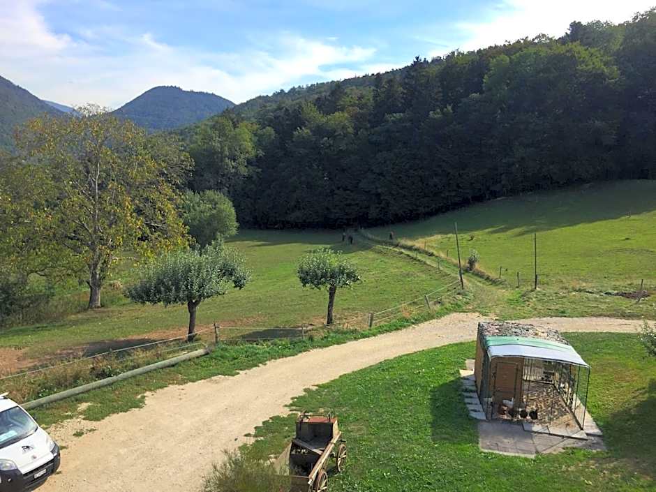 Chez Dodo 2534 Orvin Le Foncet