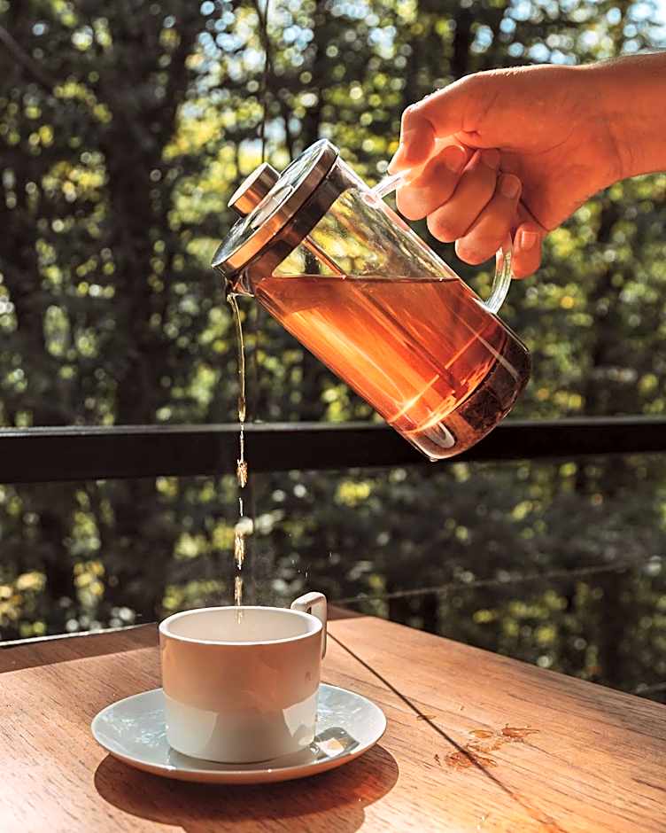 Eco Village In The Forest