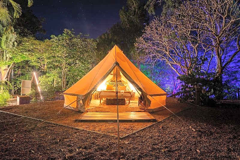 Koala Park by Bounce