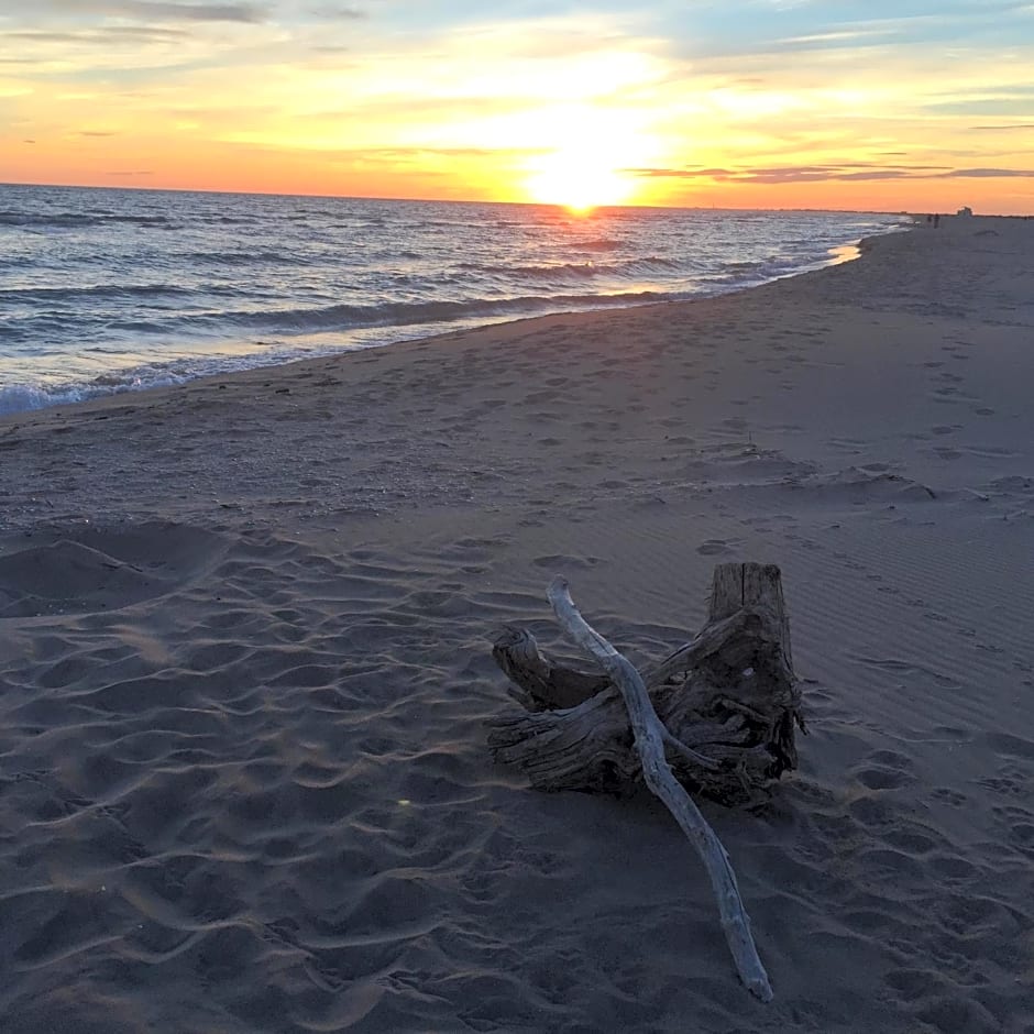 Maébrilu Camargue Provence