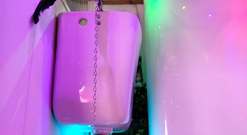 Wonder Room Paraiso Magico Habitacion