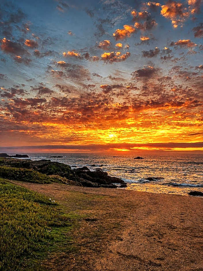 Seabird Lodge Fort Bragg