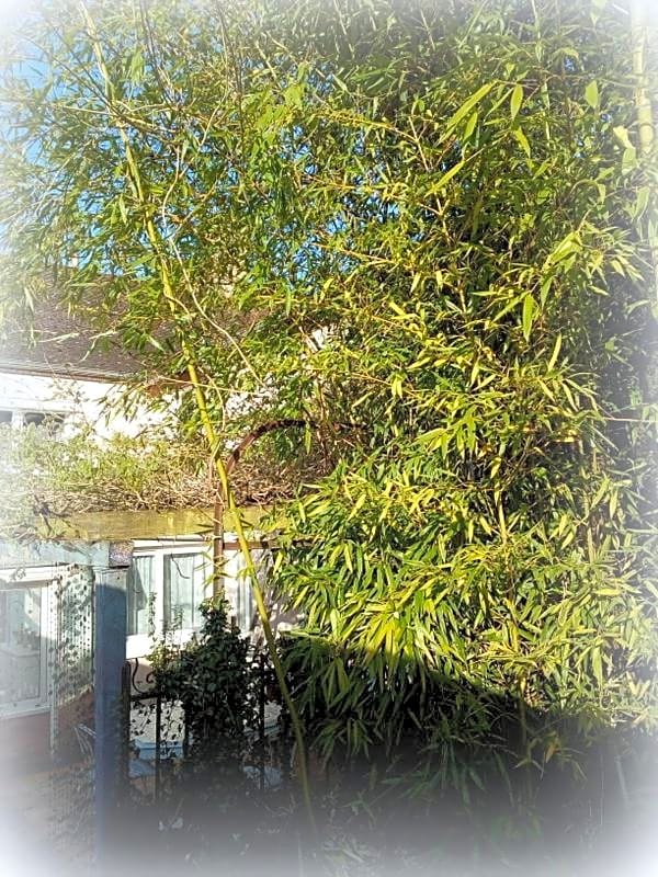 La Maison d'Hocquincourt