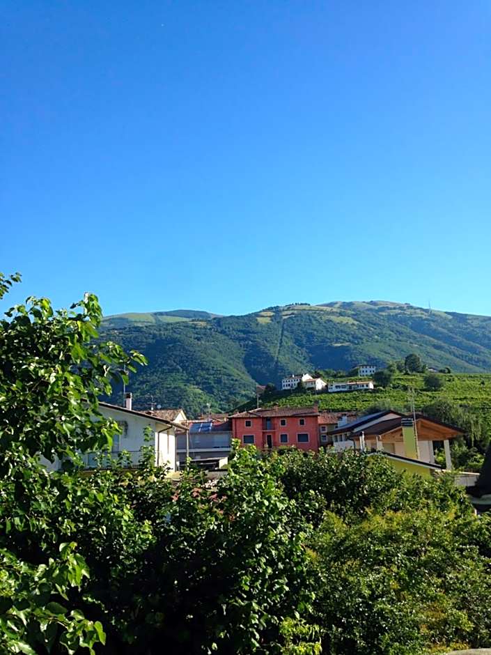 B&B Zanin di Zanin Mauro