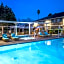 Maple Tree Inn