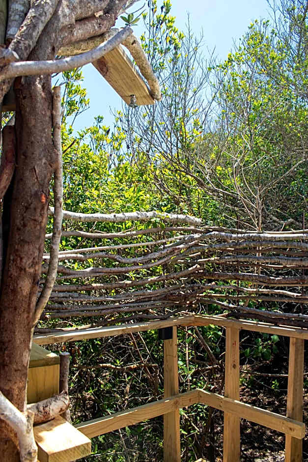 The Hive - Jungle at Misty Mountain Reserve