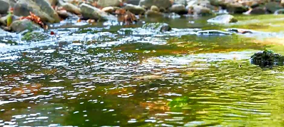 Manastırhan Otel Kazdağları