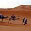 Desert Camel Trekking Camp