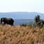 Inzalo Safari Lodge
