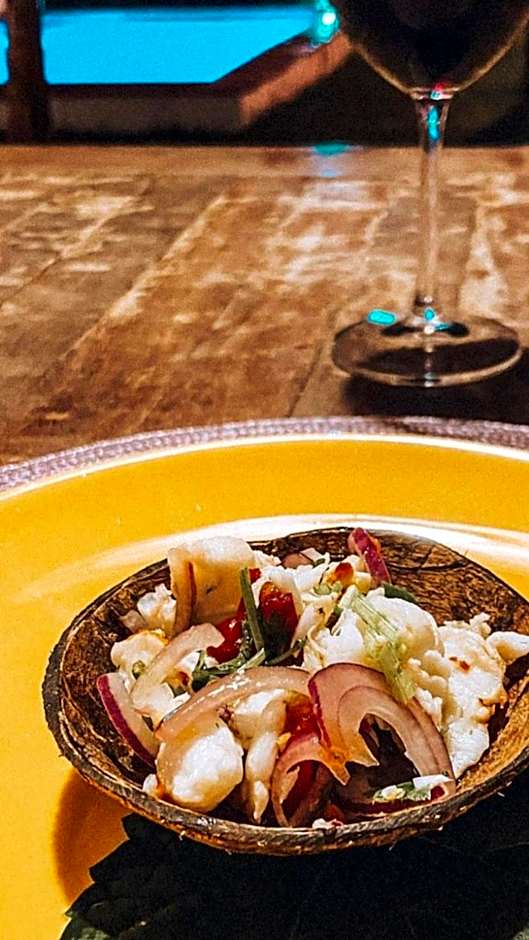 Pousada Vila do Alto