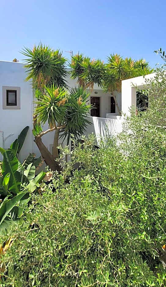 Tree of Life Art Hotel