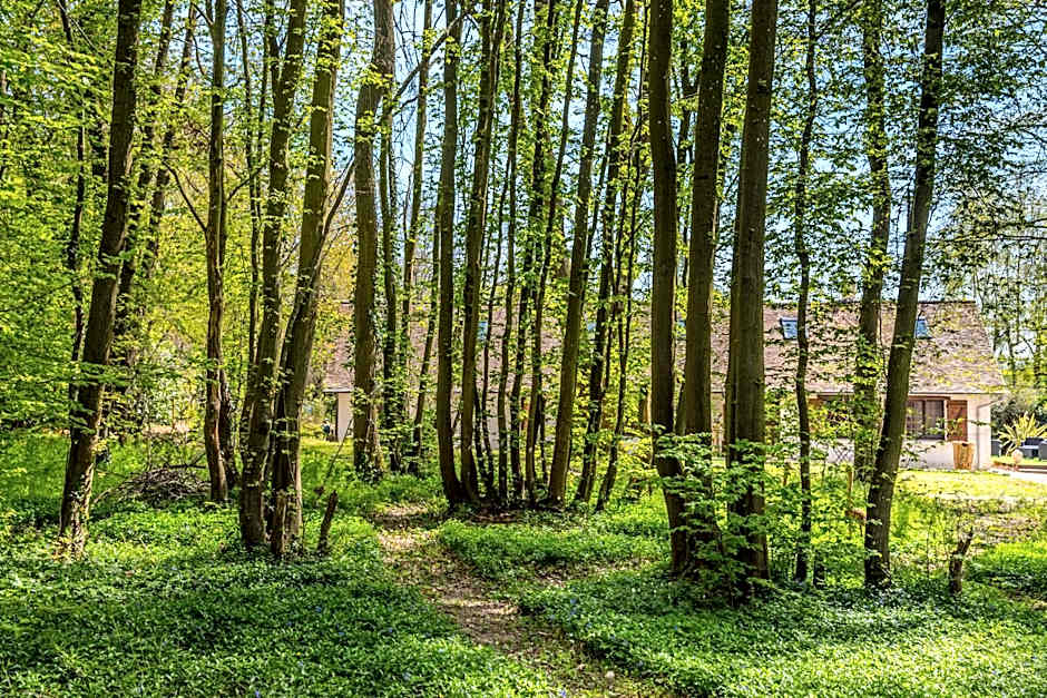GITES du BOIS des PERRUCHES