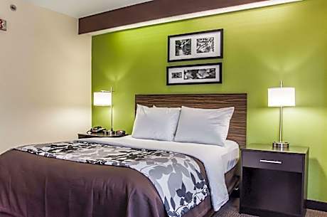 1 Queen Bed, Nonsmoking, Accessible