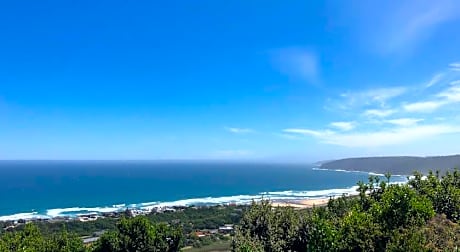 Forest Hill Wilderness