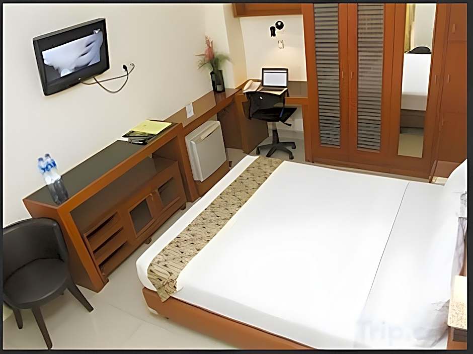 House of Arsonia Tulip