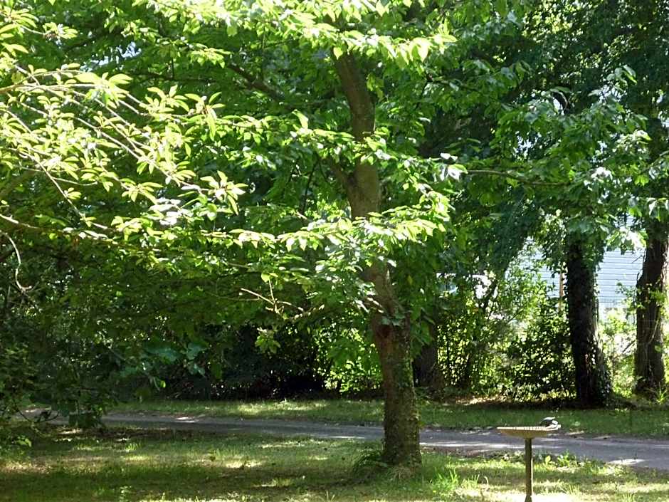 Domaine De La Bastille, Manoir du XVll, Bed and Breakfast