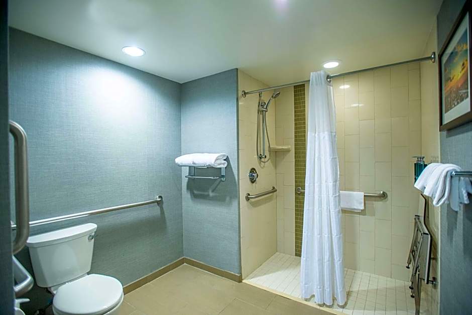 DoubleTree by Hilton Asheville Downtown