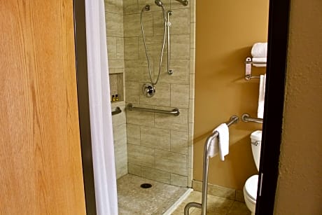 King Room with Roll-In Shower - Mobility Accessible