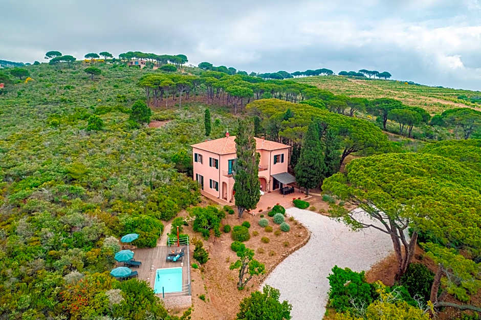 Tenuta Delle Ripalte