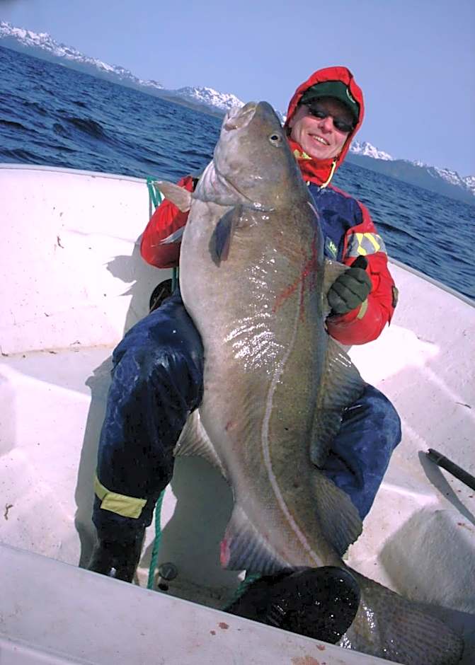 Offersøy Feriesenter