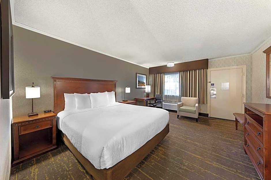 Best Western Plus Black Oak