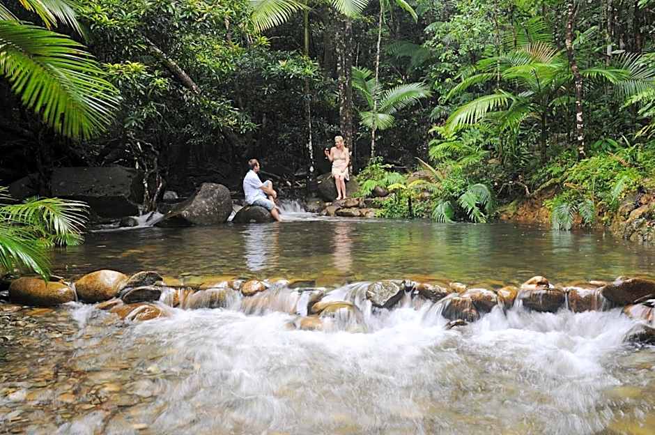 Daintree Cascades