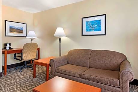 Suite-1 King Bed Non-Smoking Whirlpool Sofa Microwave Fridge Wi-Fi Full Breakfast