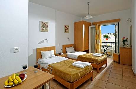 Superior Twin Studio