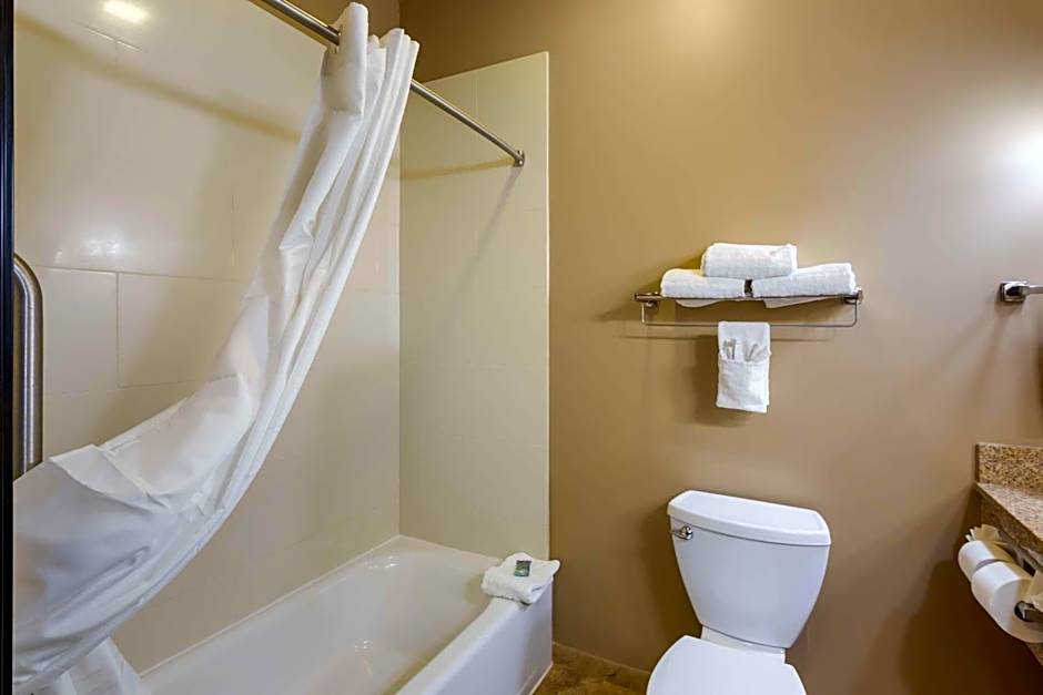 Best Western Golden Prairie Inn And Suites