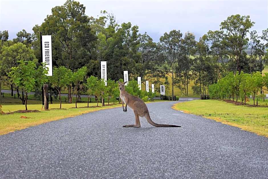 H Boutique Hunter Valley