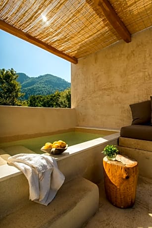 Premium Suite, Plunge Pool