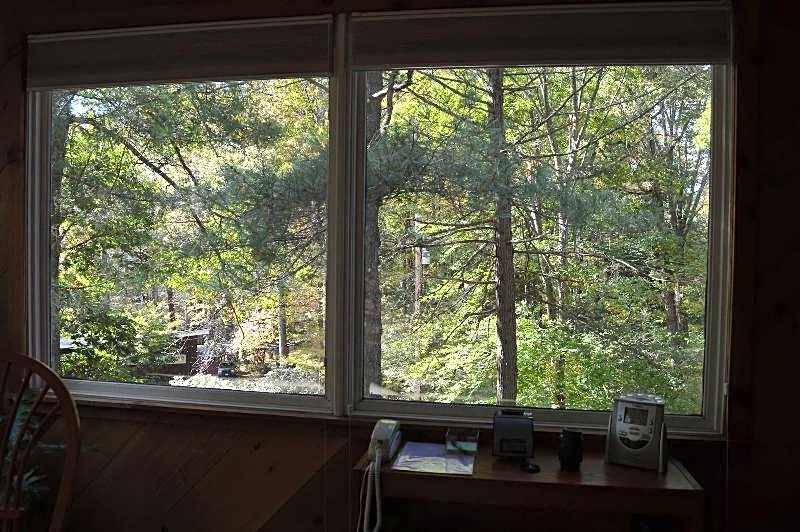 Inn the Woods B&B