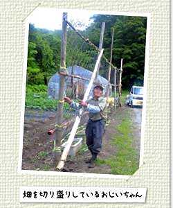Minshuku Shunzanso