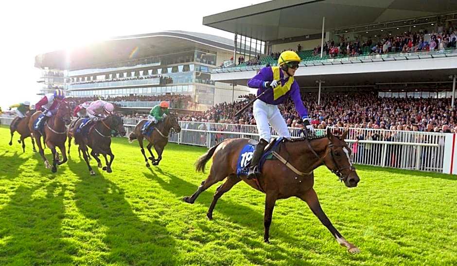 Travelodge Plus Galway