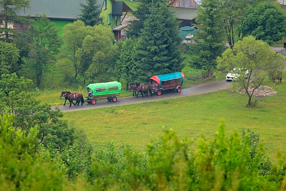 Domki w Smolniku z możliwością apiterapii