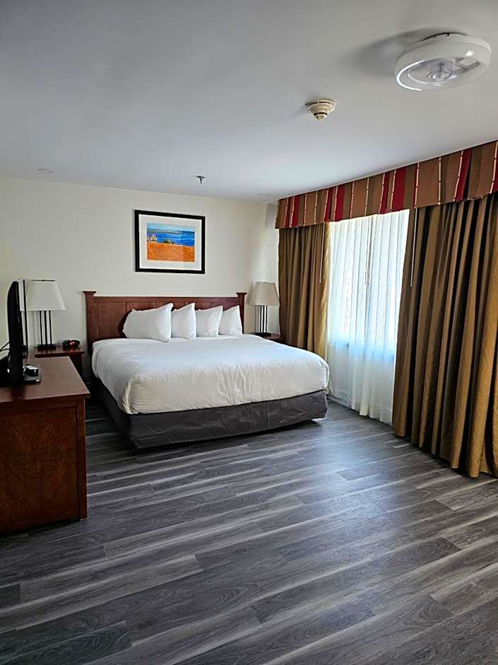 Photo 1 of 3 of 1 Bedroom 1 King Bed with Sofabed Suite