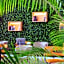 Dorisol Estrelicia Hotel